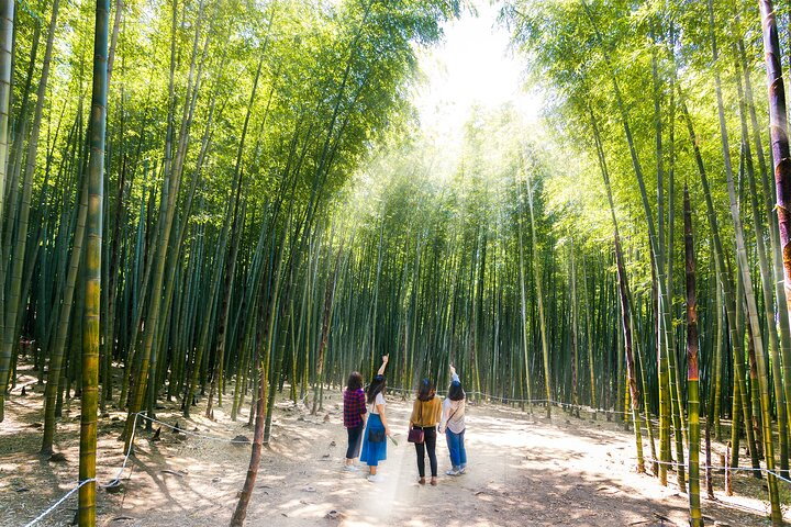 Busan Small Group Photo Tour (Max 6 Pax) - Photo 1 of 14